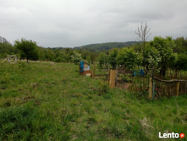 Wynajmę działkę rekreacyjną - rolną działka raciborsko