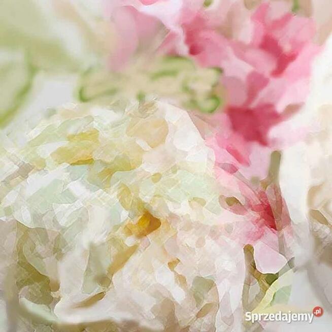 Obraz na płótnie Piwonie