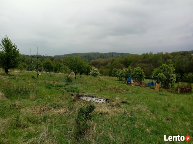Wynajmę działkę rekreacyjną - rolną działka raciborsko