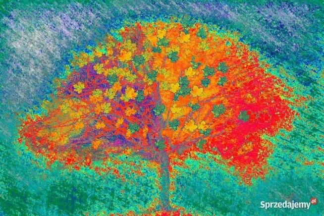 Abstrakcyjny obraz Pomarańczowe drzewo