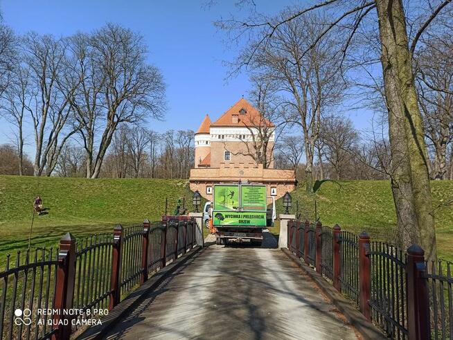 Wycinka i pielęgnacja drzew