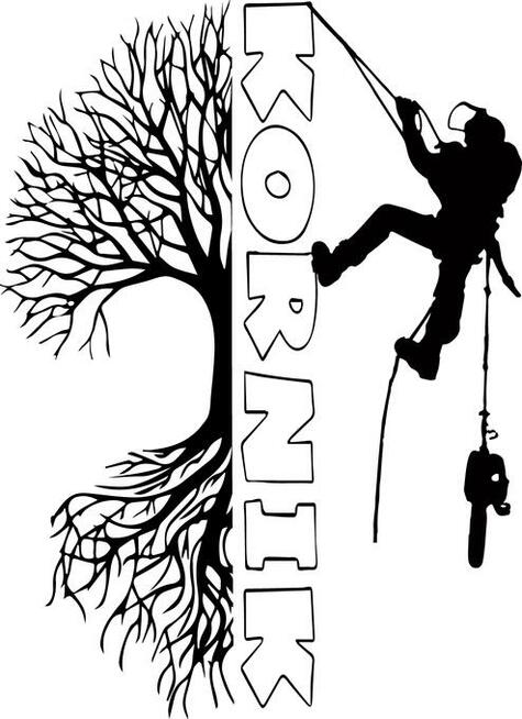 Wycinka i pielęgnacja drzew