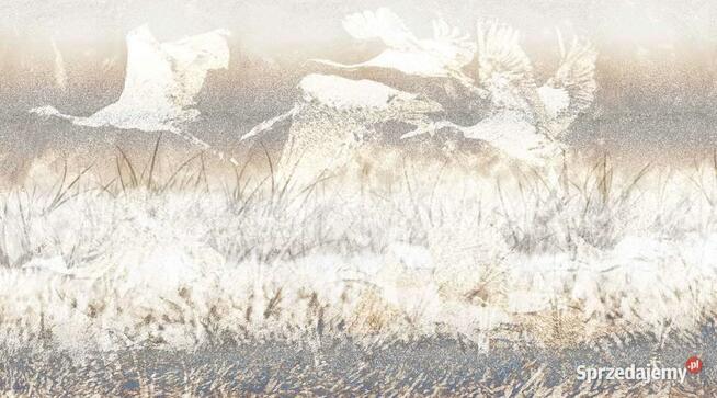 Obraz na płótnie Żurawie lecące