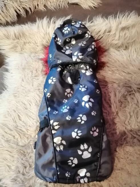 Kurteczka dla szczeniaka