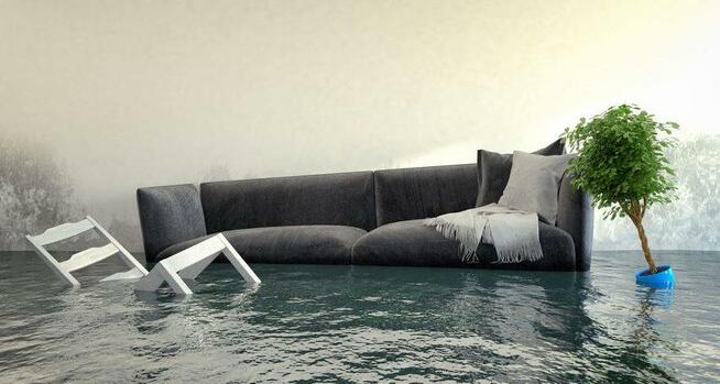 Mycie szkła, Mycie blachy, Czyszczeie rynien dachowych.