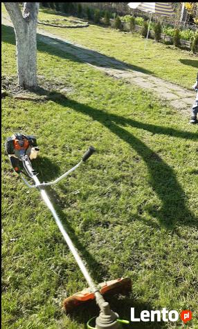 Koszenie Przycinka Sprzątanie Wywóz