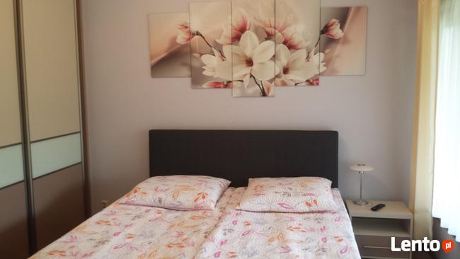 Domki wczasowe nad jeziorem z basenem