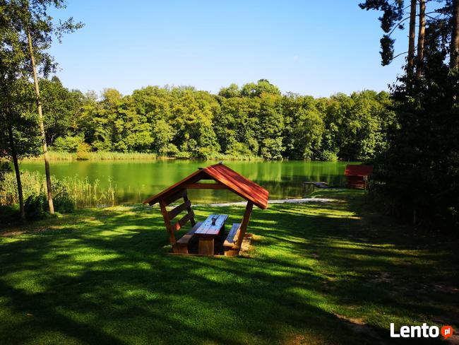 Domki wczasowe nad jeziorem z basenem