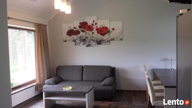 Domki wczasowe nad jeziorem z basenem