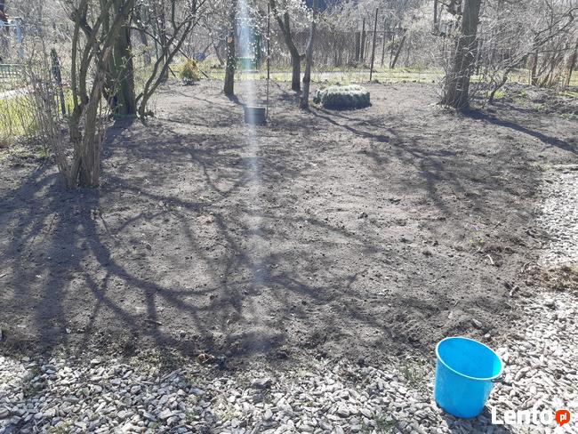 Koszenie Przycinka Sprzątanie Wywóz