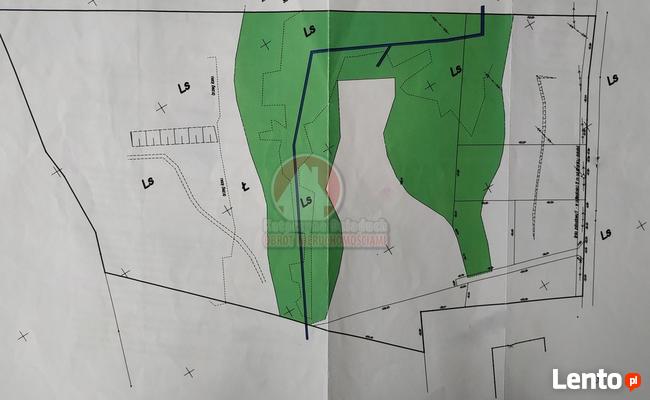 11 HA KLONOWO DOLNE gmina Przywidz