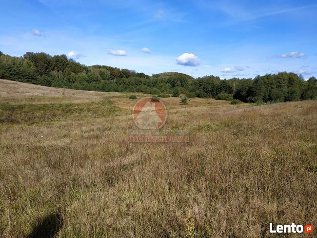 11 HA KLONOWO DOLNE gmina Przywidz