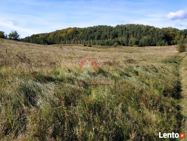 11 HA KLONOWO DOLNE gmina Przywidz