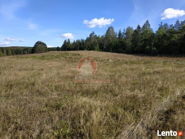 11 HA KLONOWO DOLNE gmina Przywidz