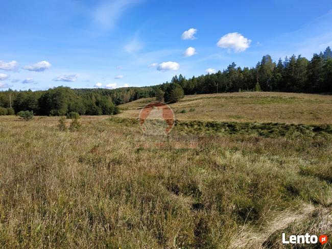 11 HA KLONOWO DOLNE gmina Przywidz