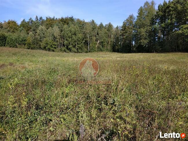 Grunt pod inwestycję pow. 5 ha Przywidz