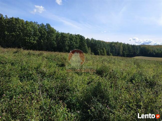 Grunt pod inwestycję pow. 5 ha Przywidz