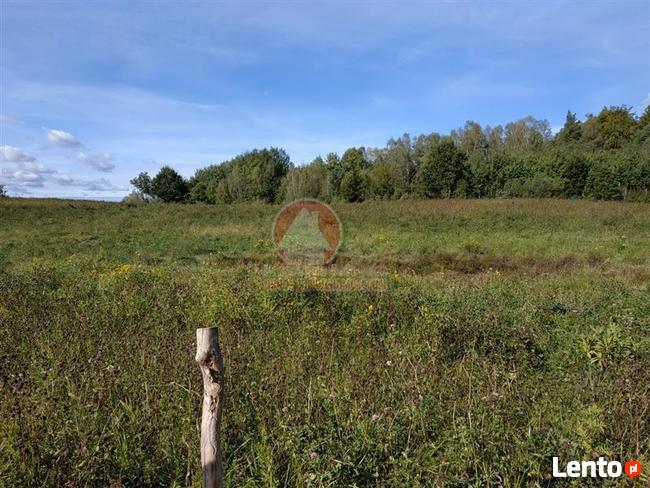 Grunt pod zabudowę usługową Przywidz