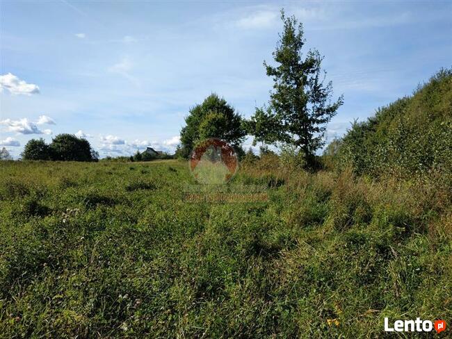 Grunt pod zabudowę usługową Przywidz