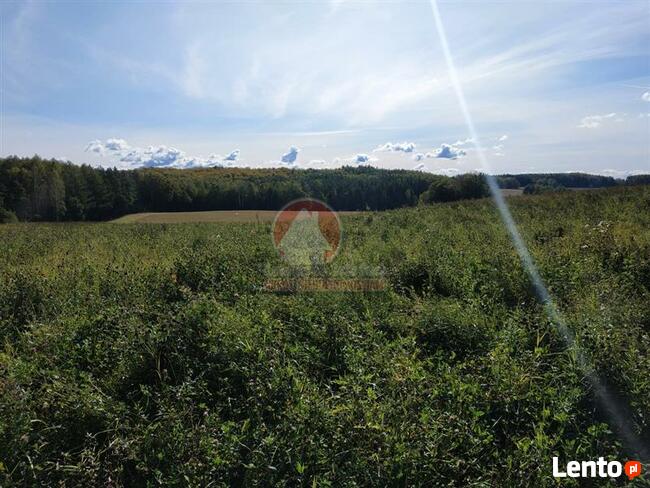 Grunt pod zabudowę usługową Przywidz