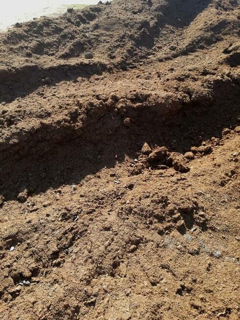 Torf naturalny kwaśny Hollas PELTRACOM | Torf łotewski