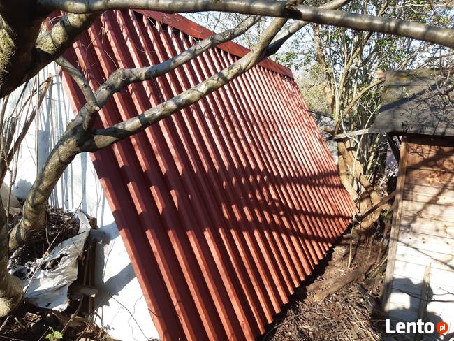 Koszenie Przycinka Sprzątanie Wywóz