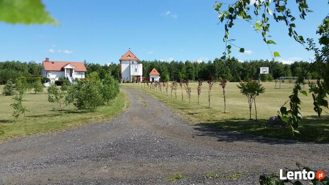 Domki wczasowe nad jeziorem z basenem