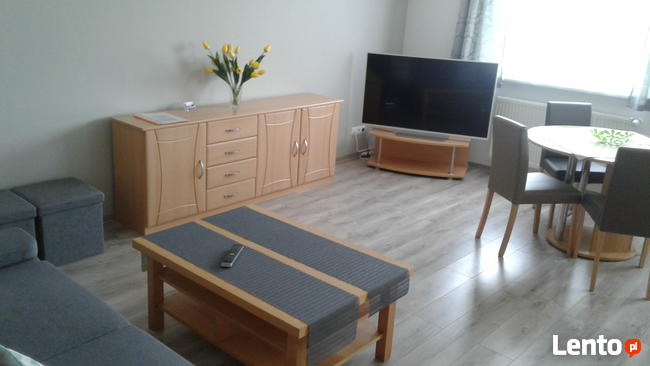 Domki wczasowe nad jeziorem z basenem