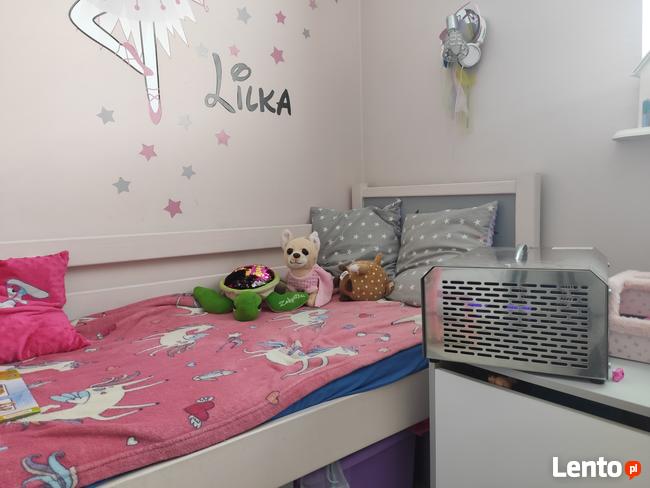 Ozonowanie pomieszczeń, zamgławianie ULV, dezynfekcja.