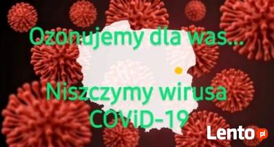 Pluskwy, osy ,mrowki.. sprawdź