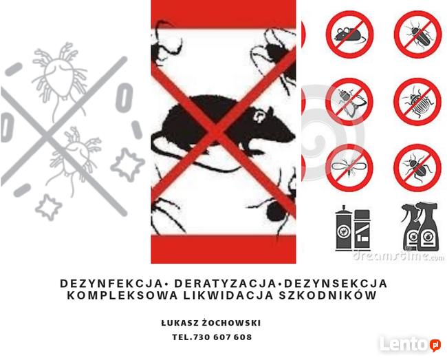 Pluskwy, osy ,mrowki.. sprawdź