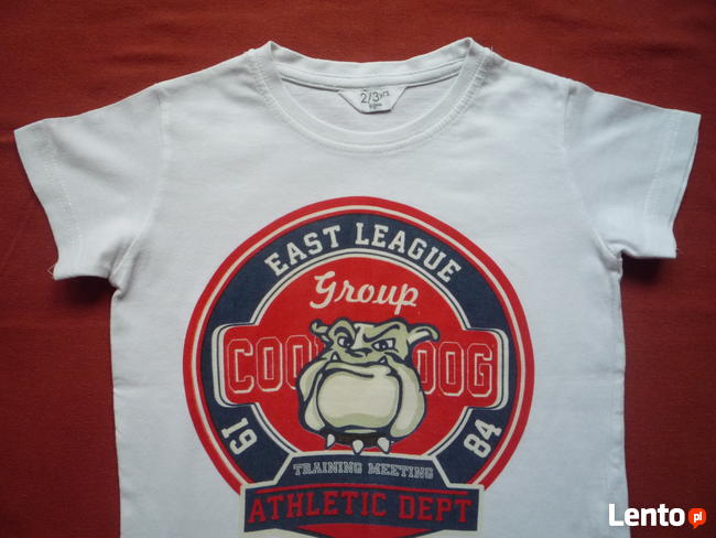 Boys r. 98 Biała Koszulka Krótki Rękaw Bawełna Jak Nowa