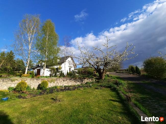 SANDOMIERZ!!!!WYNAJMĘ FIRMIE LUB PRACOWNIKOM POKOJE!!!