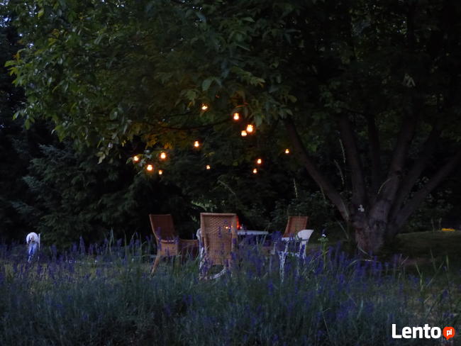 SANDOMIERZ!!!!WYNAJMĘ FIRMIE LUB PRACOWNIKOM POKOJE!!!