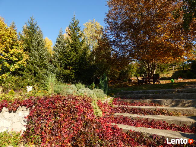 SANDOMIERZ!!!!WYNAJMĘ FIRMIE LUB PRACOWNIKOM POKOJE!!!