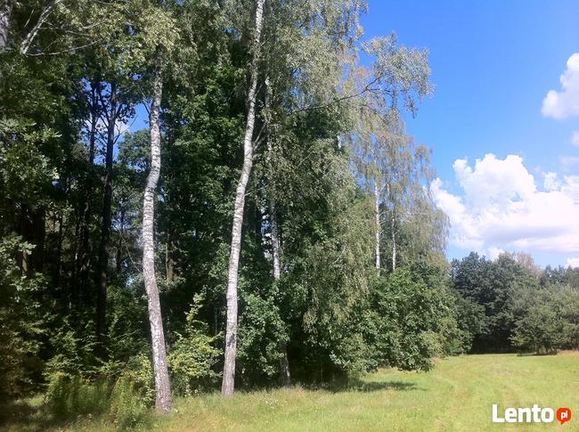 Trzcianka w gm. Wilga. Działka Budowlana.
