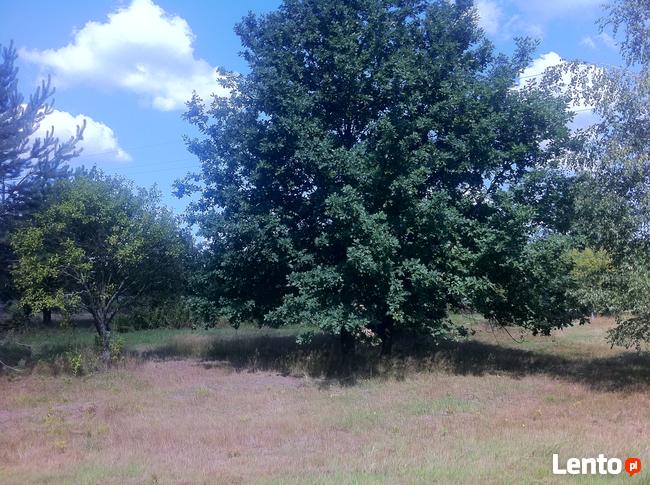 Trzcianka w gm. Wilga. Działka Budowlana.