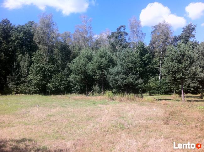 Trzcianka w gm. Wilga. Działka Budowlana.