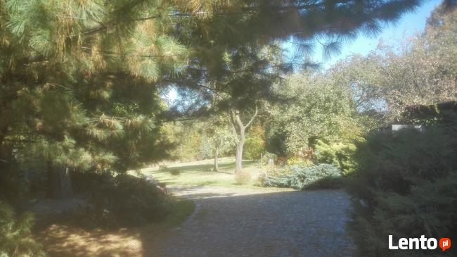 Dom Katowice - wynajmę sprzedam lub wniosę w spółkę