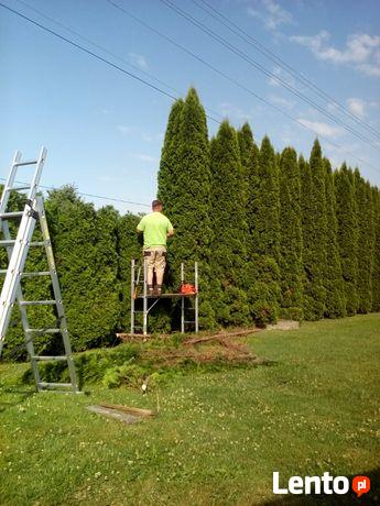 Koszenie trawników, cięcie żywopłotów, formowanie, itp