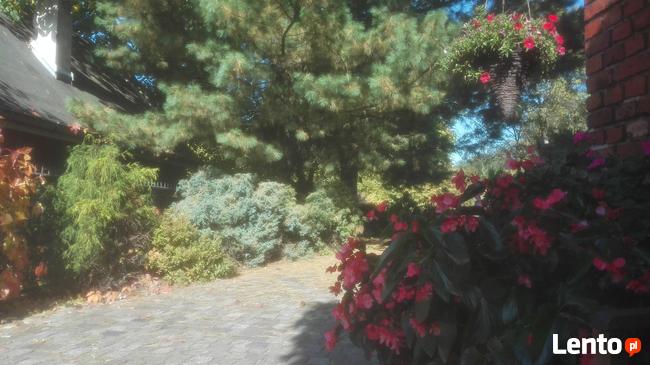 Dom Katowice - wynajmę sprzedam lub wniosę w spółkę