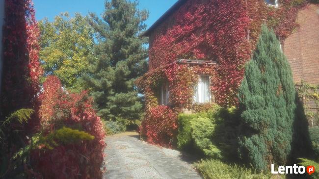 Dom Katowice - wynajmę sprzedam lub wniosę w spółkę