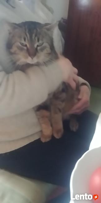 LADNY , PRZYSTOJNY BRUNET pozna MILA DZIEWCZYNE !