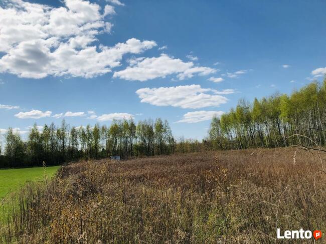 Działka inwestycyjna SSE Mielec 45 ar