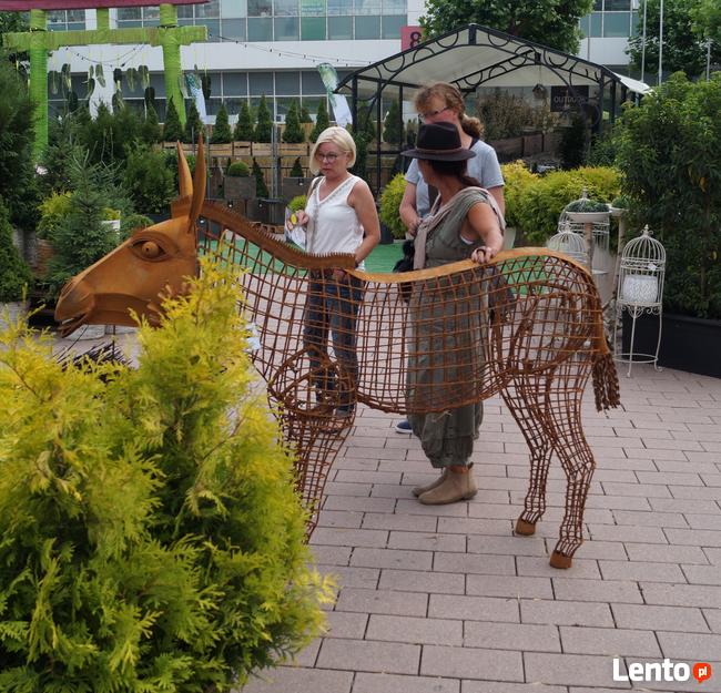 Rzeźba Koń 1:1 ze stali corten do ogrodu na kwiaty
