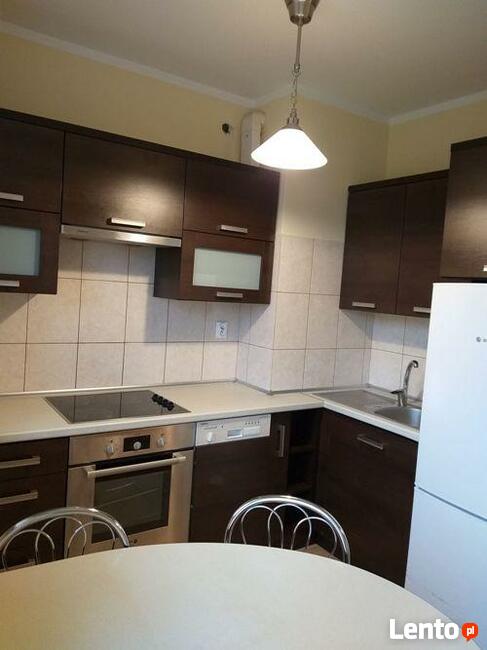 Mieszkanie do wynajęcia