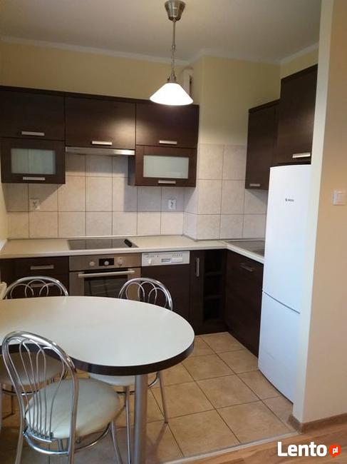 Mieszkanie do wynajęcia