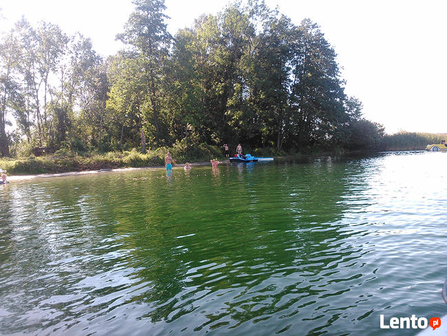 Wynajem działki na cele turystyczne jezioro Powidz Skorzęcin