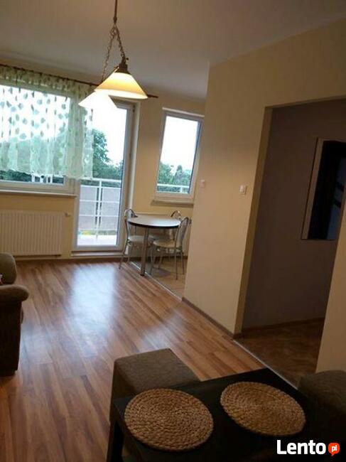 Mieszkanie do wynajęcia