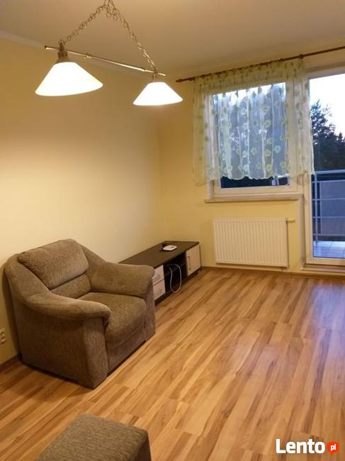 Mieszkanie do wynajęcia